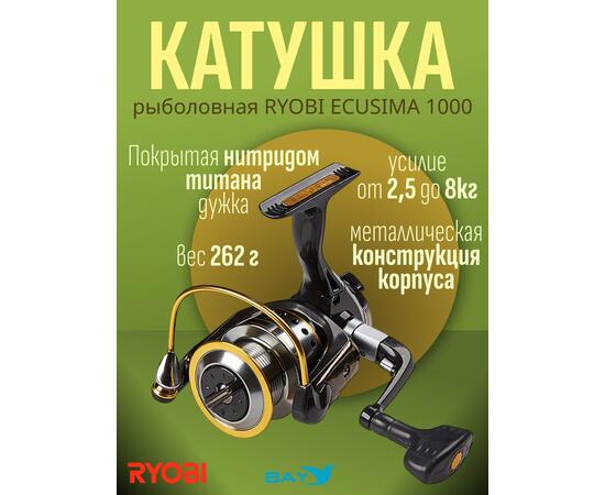 Катушка рыболовная RYOBI ECUSIMA 1000, фото 