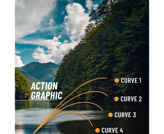 Удилище болонское с кольцами COLMIC FIUME S31 6,00mt (25gr) FUJI ALCONITE, фото , изображение 4