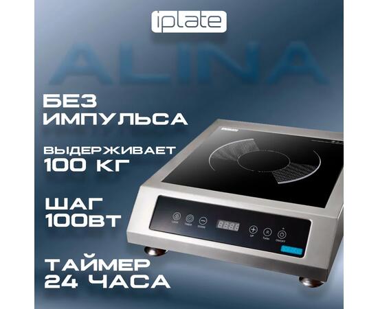 Индукционная плита IPlate ALINA, фото , изображение 2