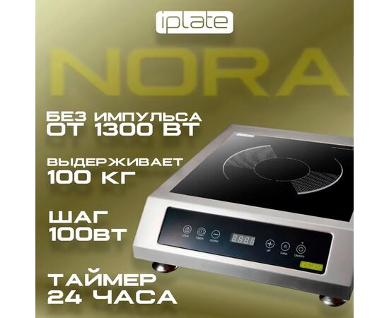 Индукционная плита IPlate NORA, фото , изображение 2