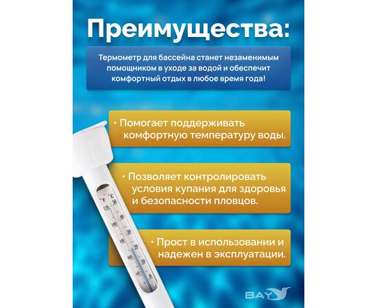 Термометр для бассейна Intex 28093, фото , изображение 4
