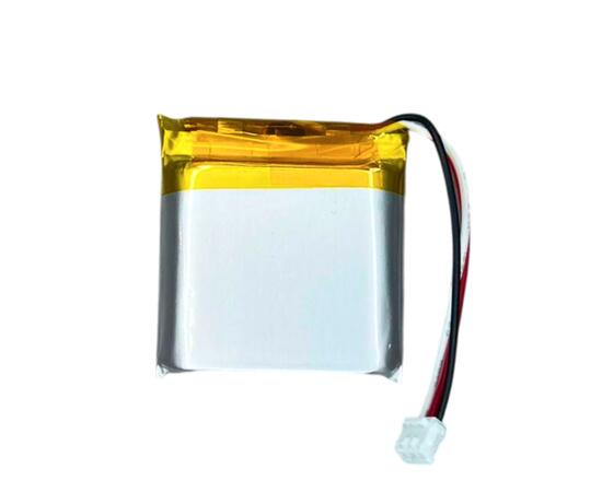 Li-ion аккумулятор для Deeper Chirp 900mAh, фото , изображение 5