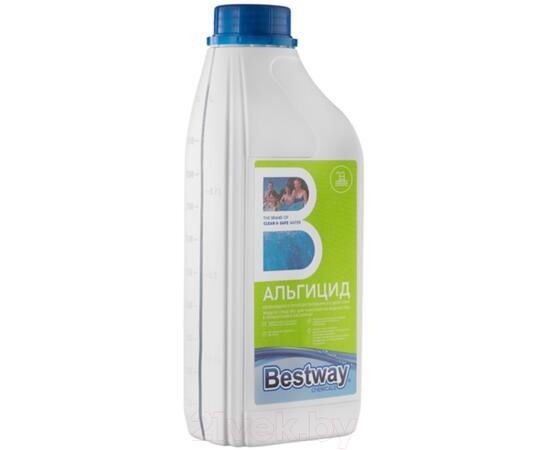 Средство для борьбы с водорослями Bestway Альгицид непенящийся AP1LBW (1кг), фото , изображение 2