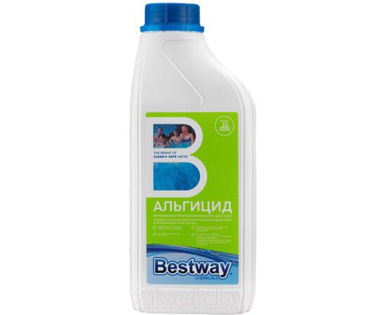 Средство для борьбы с водорослями Bestway Альгицид непенящийся AP1LBW (1кг), фото 