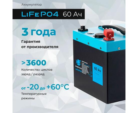 АКБ LiFePO4 Rivertech 60Ач, фото , изображение 6