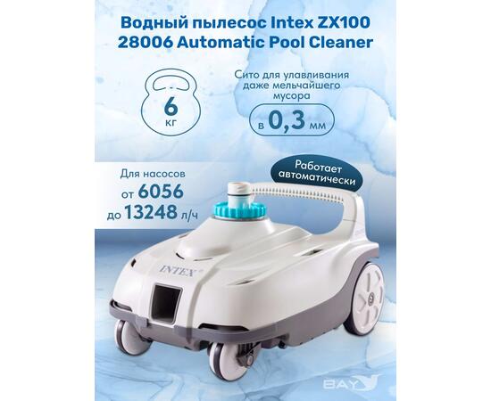 28006 Автопылесос для бассейна Intex, фото , изображение 2