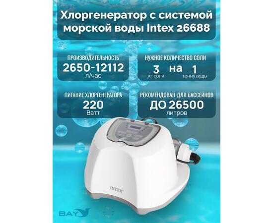 26688 Система санобработки воды в бассейне Intex Krystal clear saltwater 230 вольт, фото , изображение 3