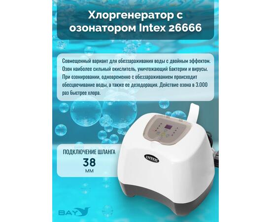 26666 Система санобработки воды в бассейне Intex Saltwater and ozone 230 вольт, фото , изображение 2