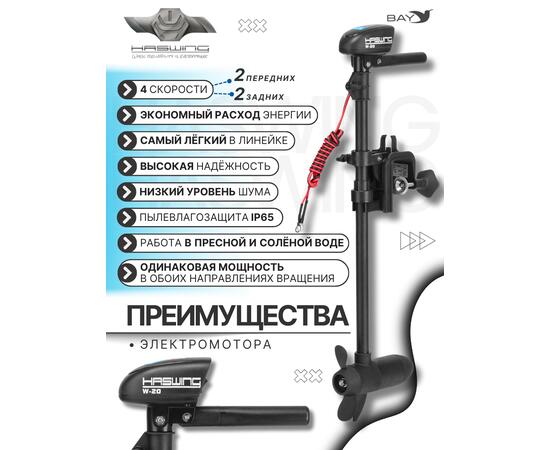 Электромотор лодочный Haswing W-20, фото , изображение 2 Электромотор лодочный Haswing W-20, фото , изображение 2