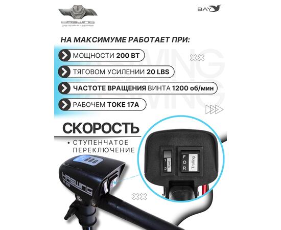 Электромотор лодочный Haswing W-20, фото , изображение 3 Электромотор лодочный Haswing W-20, фото , изображение 3