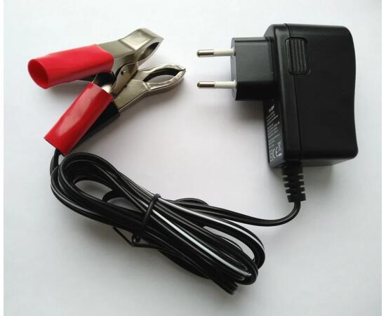 Зарядное устройство VANSON BC-612V, фото , изображение 2