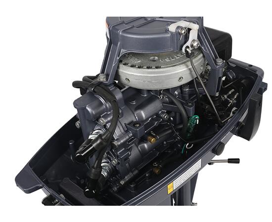 Лодочный мотор ALLFA CG T9.8, фото , изображение 4