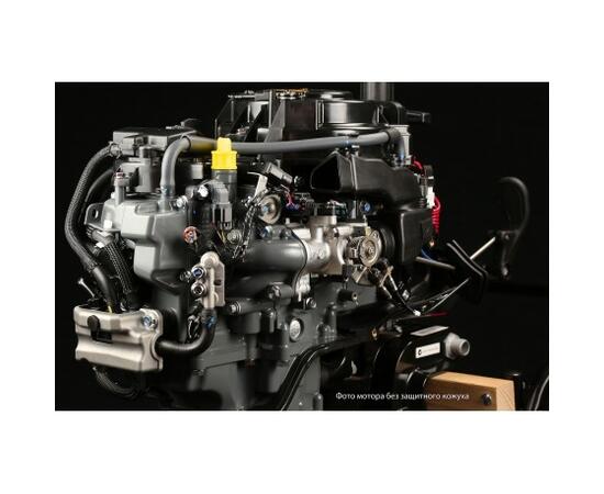 Лодочный мотор Suzuki DF 15 AS Injector, фото , изображение 2