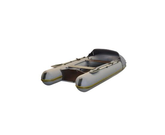 Надувная лодка BoatMaster 310К Люкс (с тентом), фото 