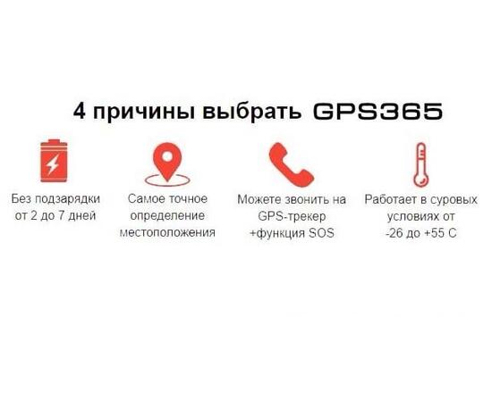 GPS Ошейник GPS365 (HaDog-03), фото , изображение 7