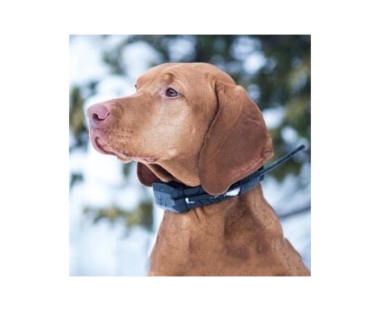 GPS Ошейник для охоты Дополнительный ошейник Dog GPS X20, фото , изображение 9