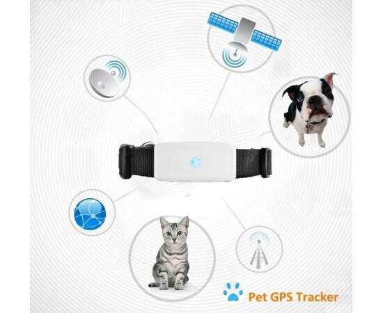 GPS ошейник TK STAR 911, фото , изображение 8