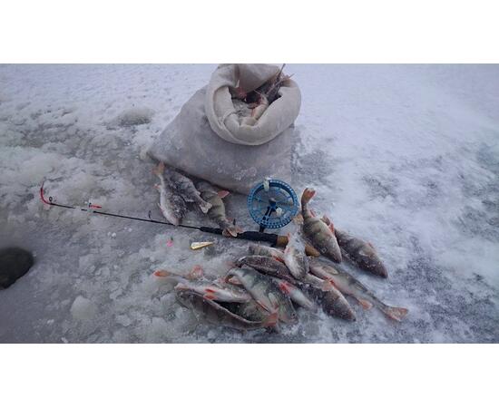 Блесна RB Parus 15 г Red Silver, Цвет: Red/Silver (Красная/Серебро), Вес блесны (г): 15, фото , изображение 3