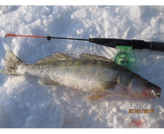 Блесна RB Parus 15 г Red Silver, Цвет: Red/Silver (Красная/Серебро), Вес блесны (г): 15, фото , изображение 5