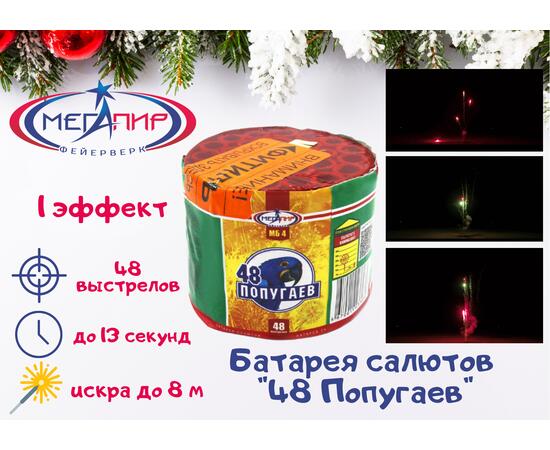 Батарея салютов 48 Попугаев МЕГАПИР, фото 