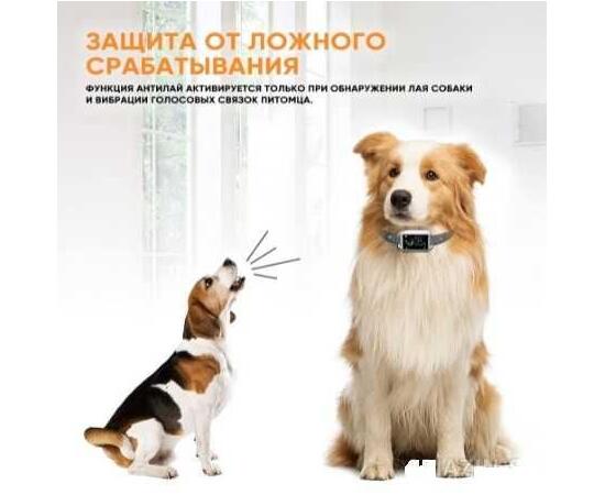 Ошейник антилай SMART-B 800, фото , изображение 4