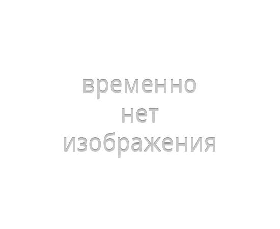 Пол для тамбура палатки Golden Shark Arena 4, фото , изображение 2
