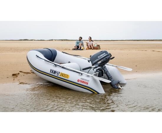 Лодочный мотор YAMAHA F4BMHS, фото , изображение 7