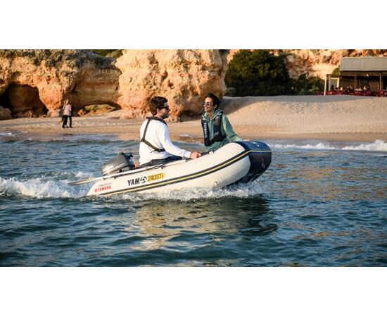 Лодочный мотор YAMAHA F4BMHS, фото , изображение 8