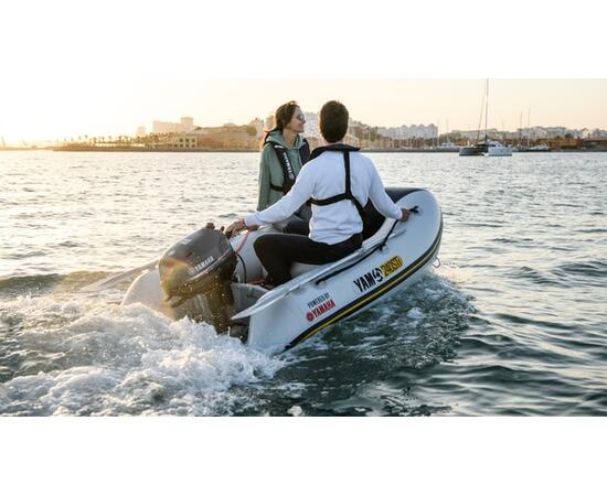 Лодочный мотор YAMAHA F4BMHS, фото , изображение 10