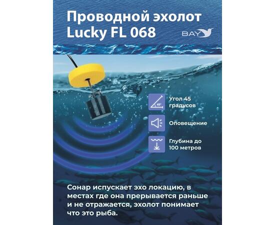 Проводной эхолот Lucky FL 068 T, фото , изображение 3