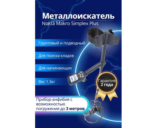 Металлоискатель Nokta Makro Simplex Plus, фото 