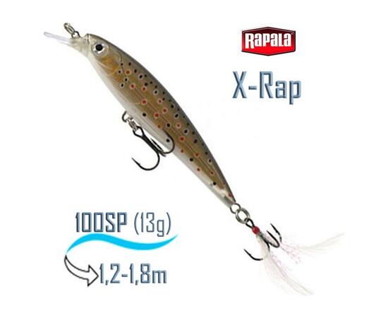 Воблер RAPALA X-Rap 10, TR, Цвет: TR, Вес гр: 13, Длина, мм: 100 мм, фото 