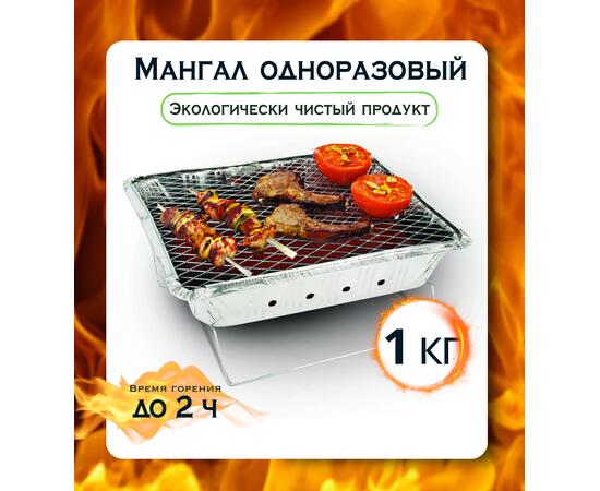 Мангал одноразовый Bay 1кг, фото 