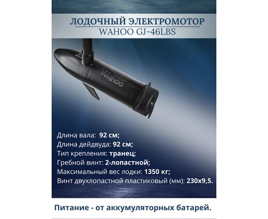 Лодочный электромотор Wahoo GJ-46lbs, фото , изображение 2