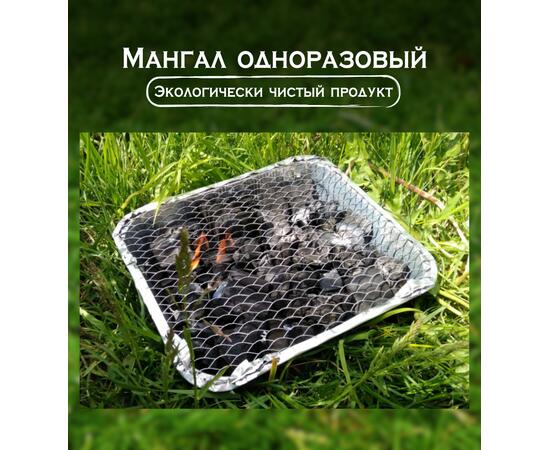 Мангал одноразовый Bay 1кг, фото , изображение 4