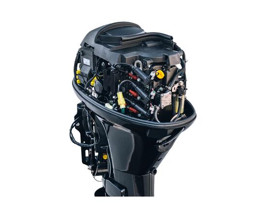 Мотор Reef Rider RREF30FEL-T, фото , изображение 4