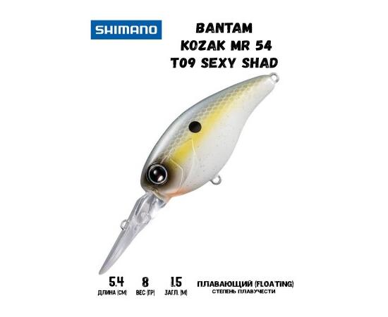 Воблер SHIMANO Bantam Kozak MR 54mm 8g T09 Sexy Shad, Цвет: T09 Sexy Shad, Вес гр: 8, Длина, мм: 54 мм, фото 