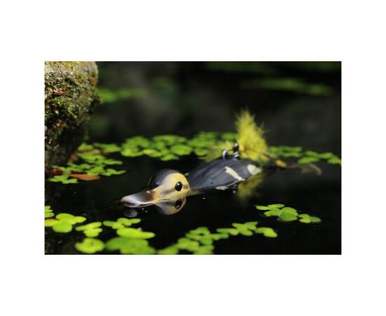 Приманка SAVAGE GEAR 3D Suicide Duck 15cm 70g 01-Natural, фото , изображение 2