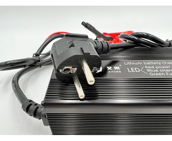 Зарядное устройство BatteryCraft Lifepo4 12V 20А, фото , изображение 4