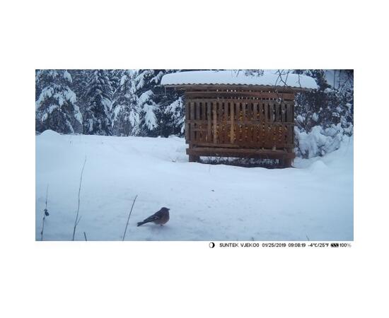 Фотоловушка 4G SUNTEK HC810Plus online, фото , изображение 7