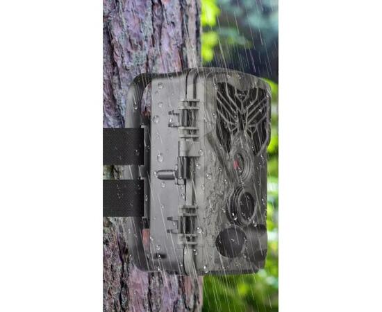 Фотоловушка Suntek HC810M, фото , изображение 4