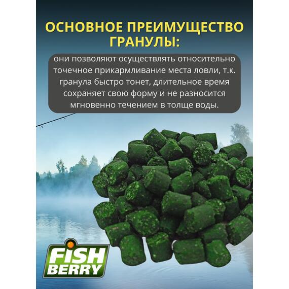 FishBerry Пеллетс карповый (бетаин, цв. -зеленый) 8мм - 1 кг, Вкус: морепродукты, Вид рыбы: Карп, Диаметр (мм): 8, фото , изображение 3