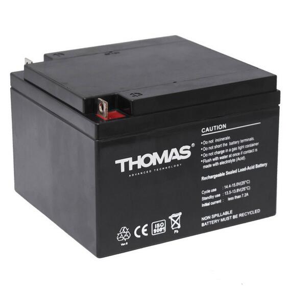 АККУМУЛЯТОР THOMAS (22 A/H), 12V, фото 