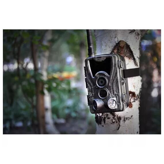 Фотоловушка ФИЛИН 300, фото , изображение 5