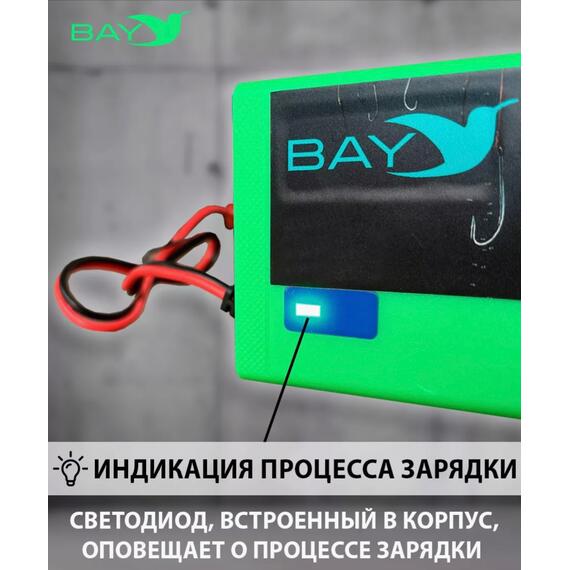 Зарядное устройство Bay LiFePO4 12V 10A, фото , изображение 4