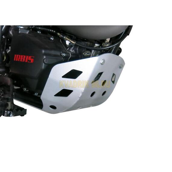ЗАЩИТА ДВИГАТЕЛЯ ДЛЯ МОТОЦИКЛА IRBIS TTR 250R RIVAL, фото 