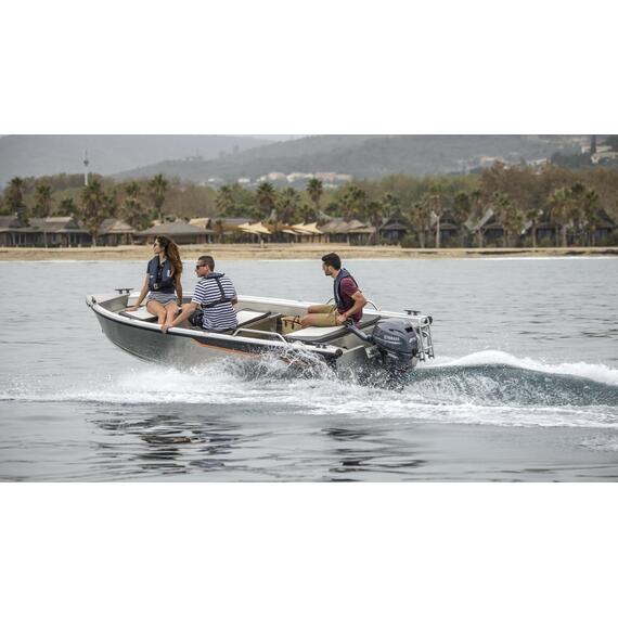 Лодочный мотор Yamaha F25GMHS (new), фото , изображение 7