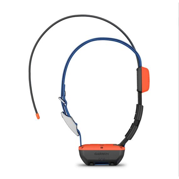 Ошейник Garmin Alpha T 20 EU-Nordic / RU, фото 