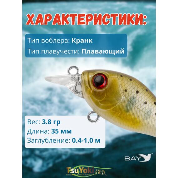 Воблер TsuYoki GAMBIT 35F WR010, Цвет: WR010, Вес воблера (г): 10, Длина воблера (мм): 35, фото , изображение 2