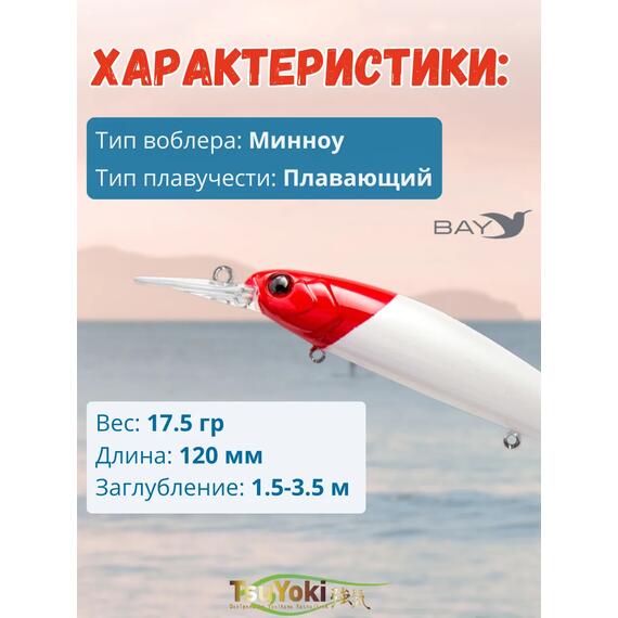 Воблер TsuYoki JASS SR 120F 443, Цвет: 443, Вес воблера (г): 17,5, Длина воблера (мм): 120, Тип воблера: Минноу, Тип плавучести : плавающий, Штрихкод: 4627138882511, Количество крючков: 3, фото , изображение 2